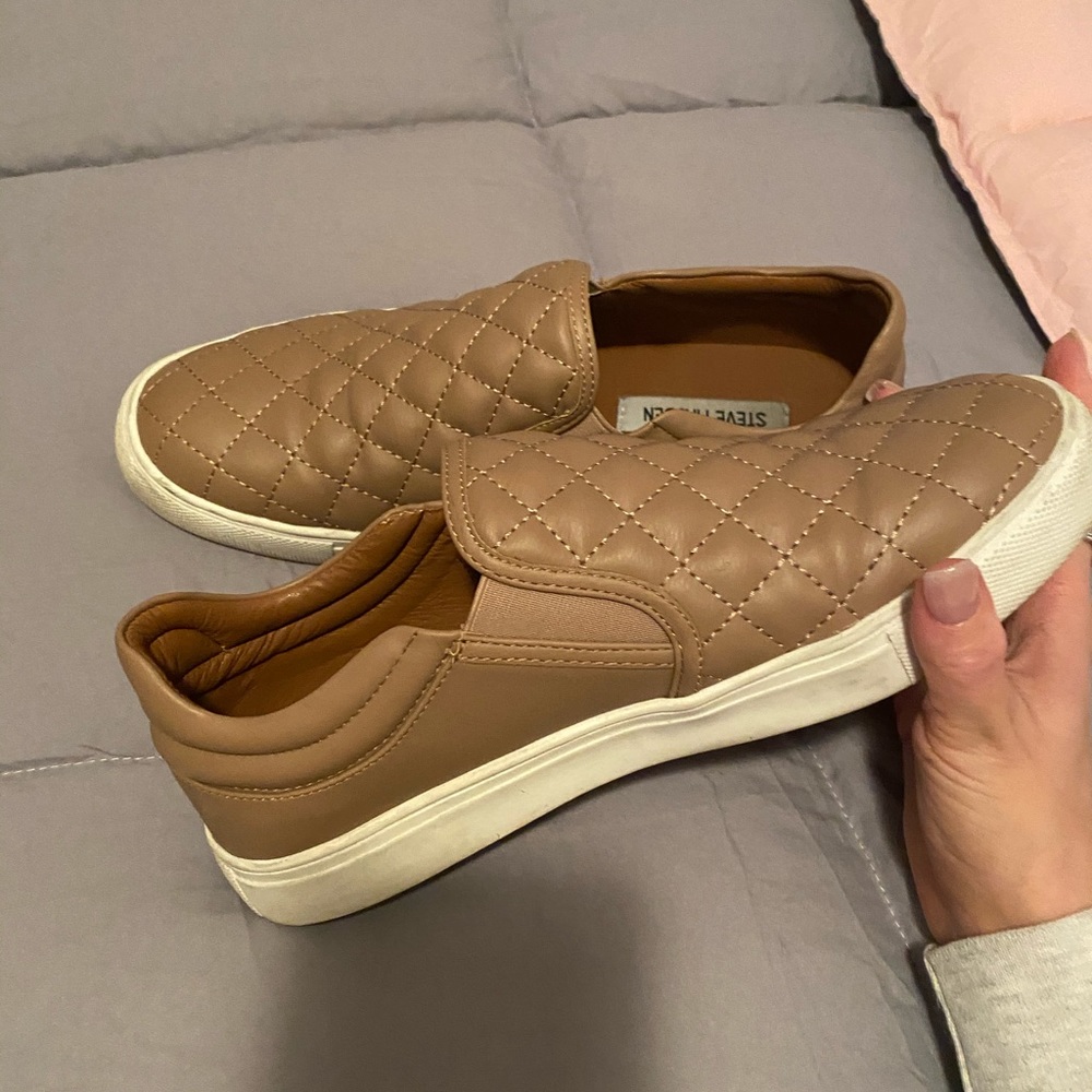 NEW Steve Madden sneakers